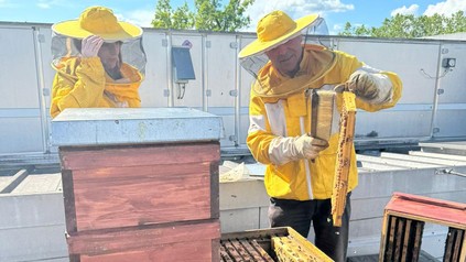Bienenstöcke auf dem Dach des Hotel Ibis mit zwei Imkern
